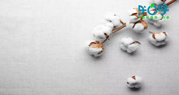 ویژگی‌های پنبه بهداشتی
