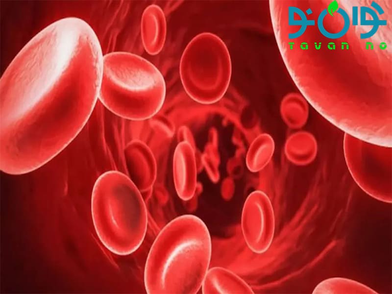 10 علت مهم چاقی؛ چرا بعضی افراد بیشتر مستعد اضافه‌وزن هستند؟